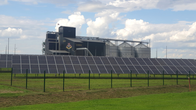 zaļā laukā saules paneļu rinda, aiz tiem fonā graudu uzglabāšanas torņi