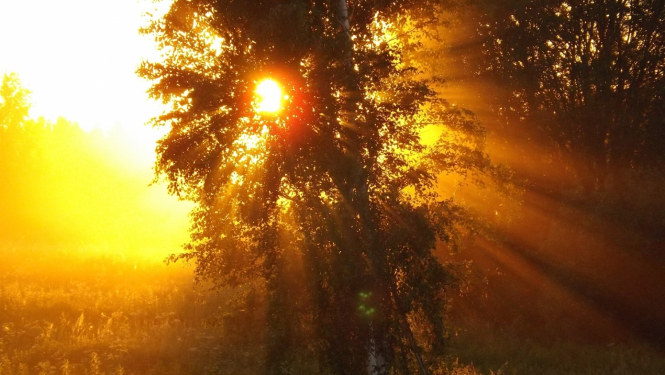 Saulriets caur zariem