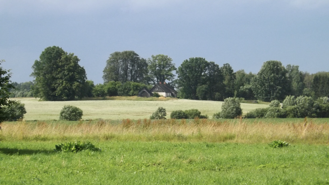 Lauku skats ar pļavu priekšplānā un lauku māju tālumā