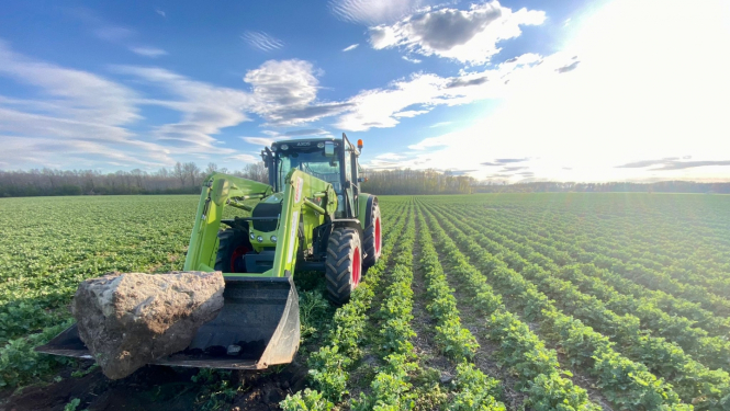 Traktors ved akmeni no lauka