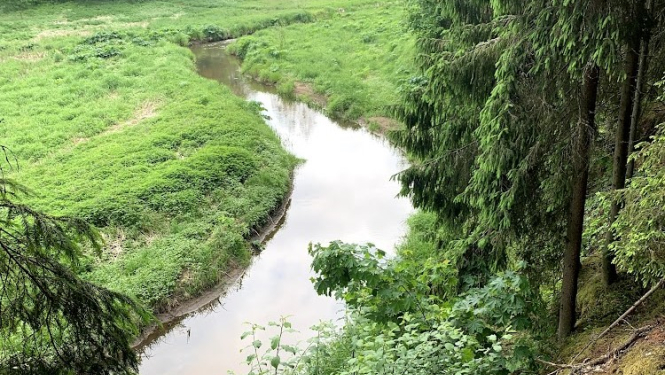 No kraujas malas bildēts skats uz leju uz līkumainu upīti