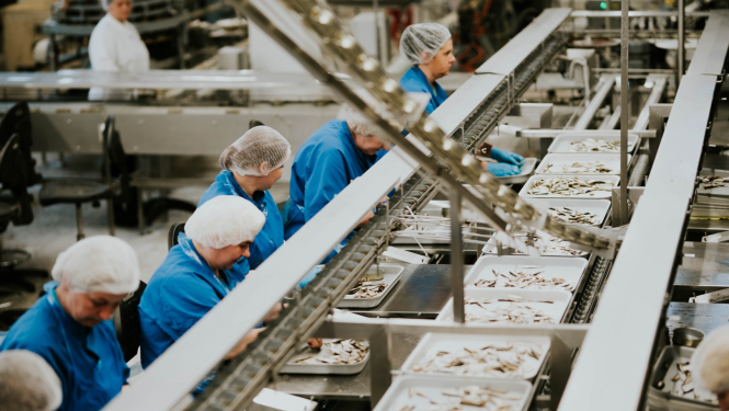 Zivju pārstrādes rūpnīcas telpas ar ražošanas līnijām un darbiniekiem
