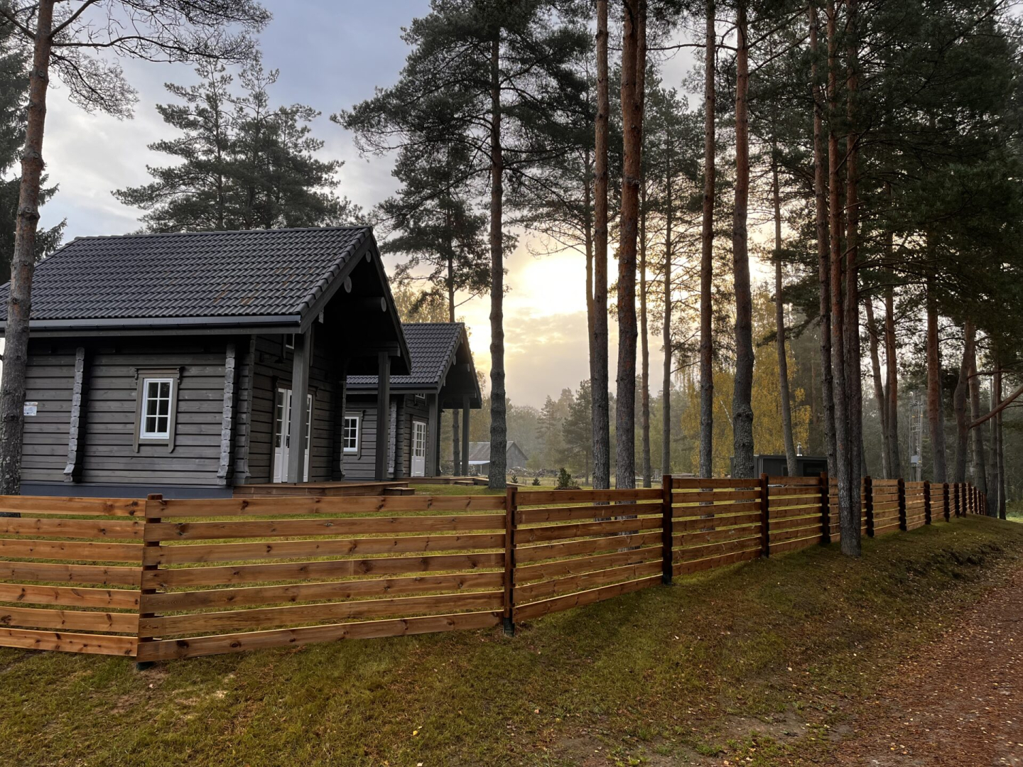 divi namiņi starp priedēm aiz koka dēļu sētas