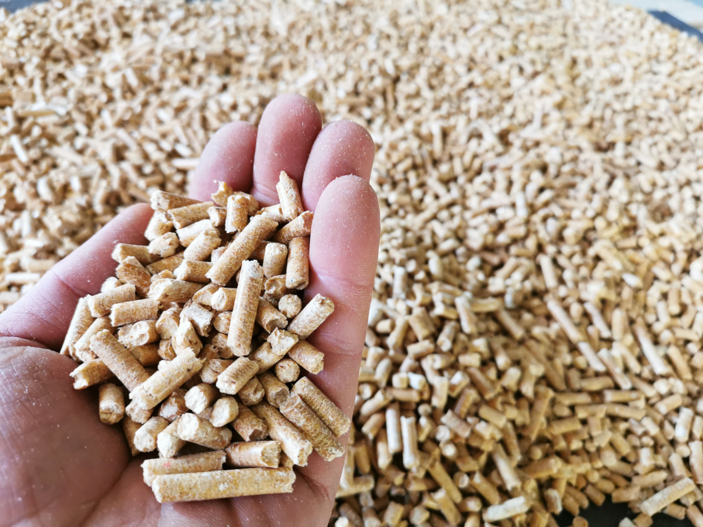 Sauja ar koka granulām apkurei