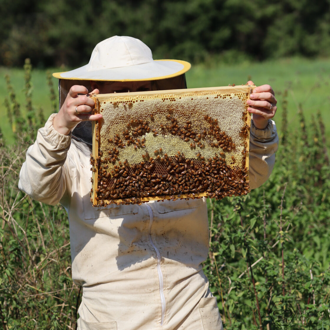 Bitenieks baltā apģērbā tur medus kāri