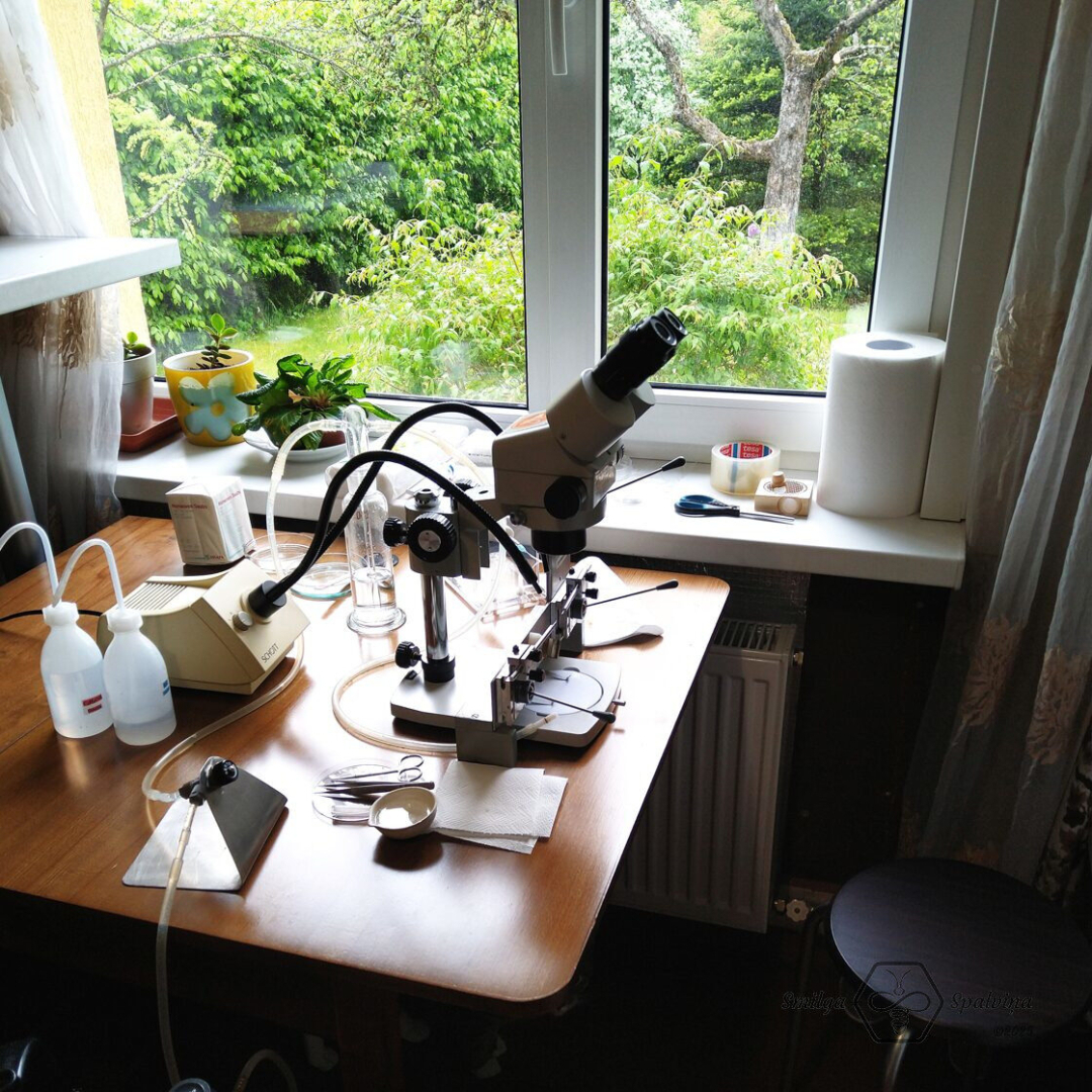 Labaratorija ar mikroskopu uz galda, fonā logs, aiz tā skats uz zaļu dārzu