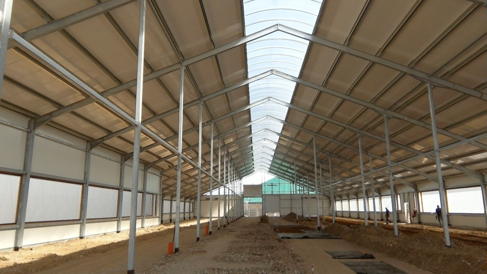 Jaunuzbūvēta govju kūts no iekšpuses