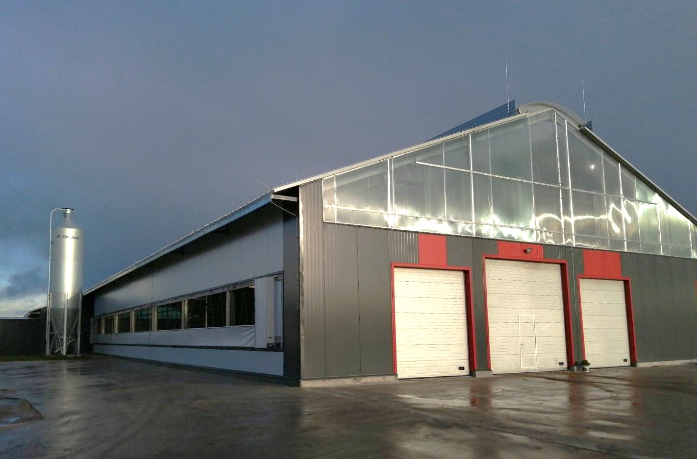 Jaunuzbūvēta govju kūts no ārpuses