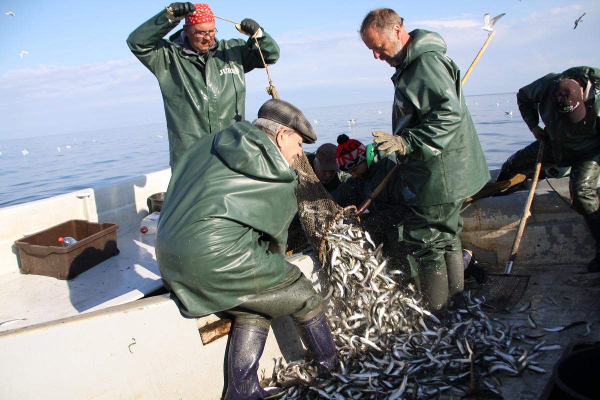Trīs zvejnieki laivā ceļ iekšā tīklus ar zivīm
