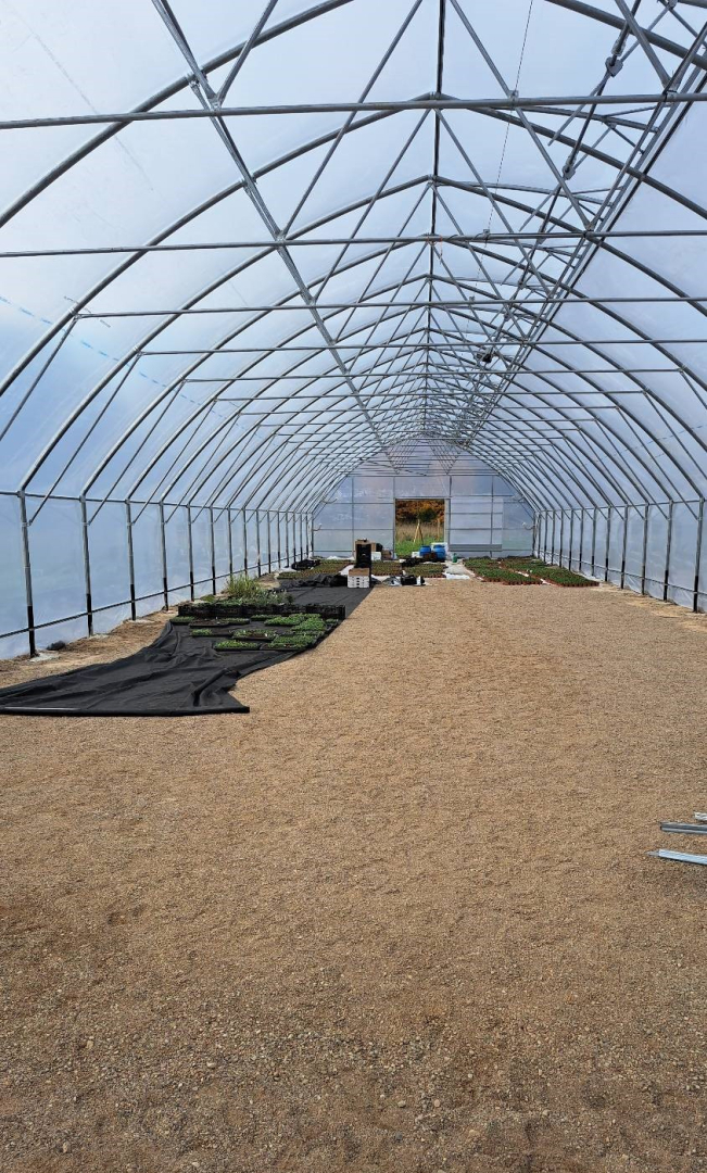 Lielas siltumnīcas iekšskats