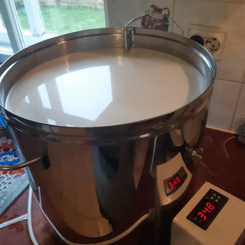 Katls ar pienu un temleratūras rādītāju