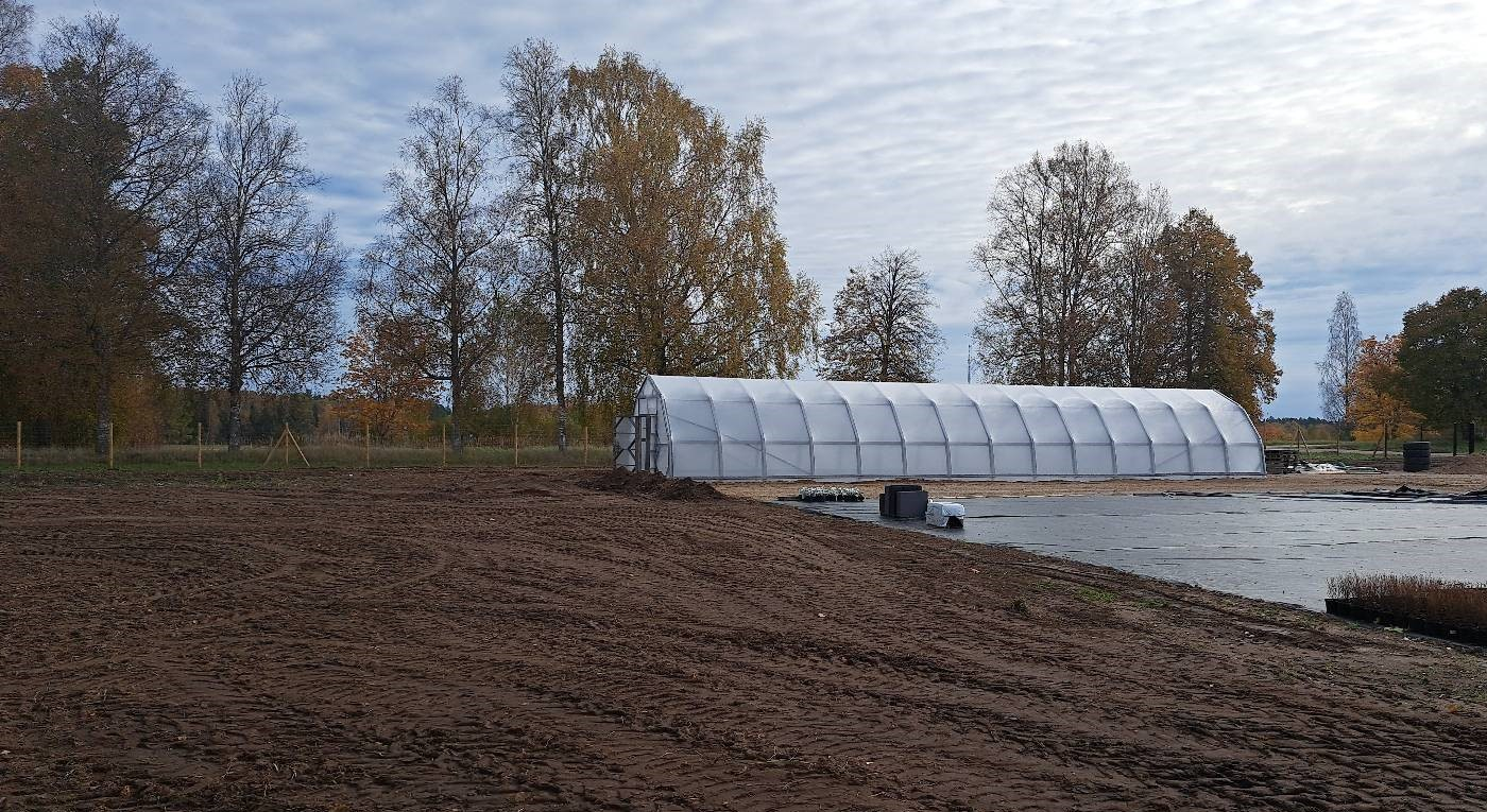 Siltumnīca no ārpuses, priekšpusē izlīdzināts laukums