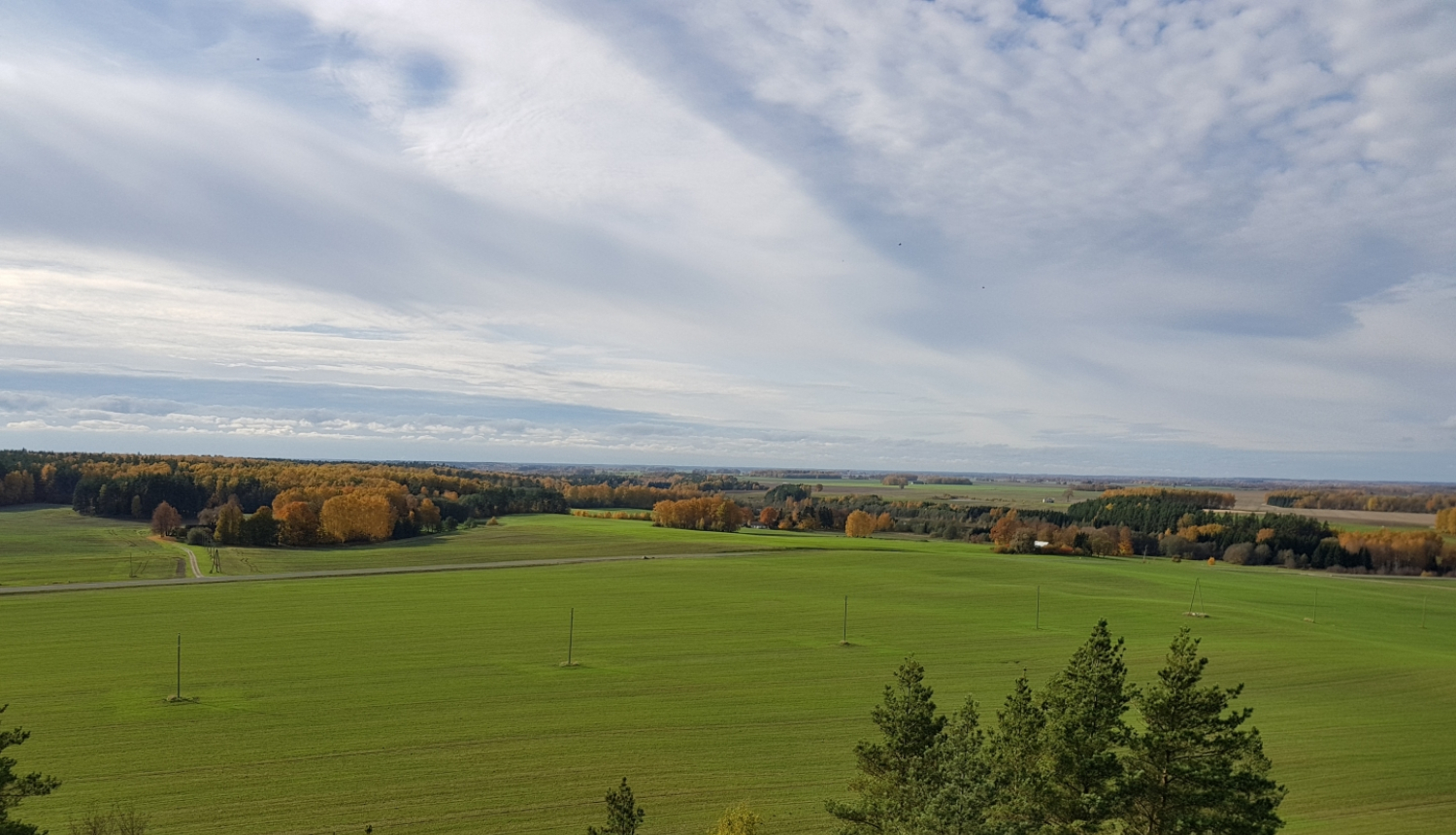 Ainava ar zaļu lauku un kokiem