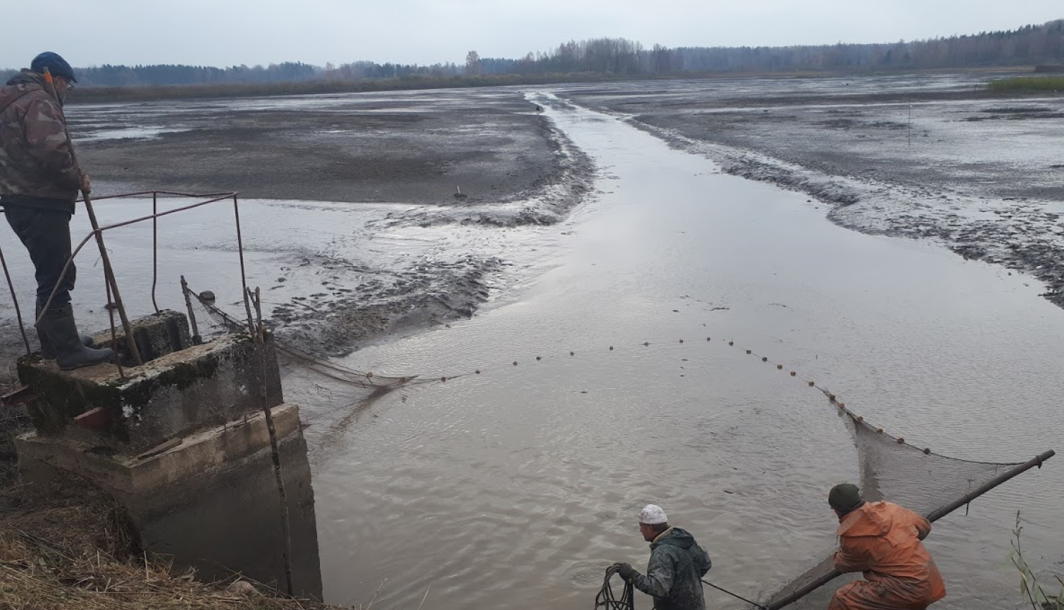 Akvakultūraas dīķis