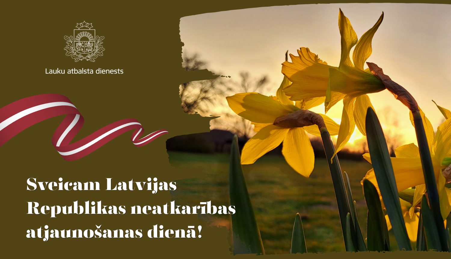 Apsveikums Latvijas Republikas neatkarības atjaunošanas dienā ar uzrakstu, LAD logo un narcisēm