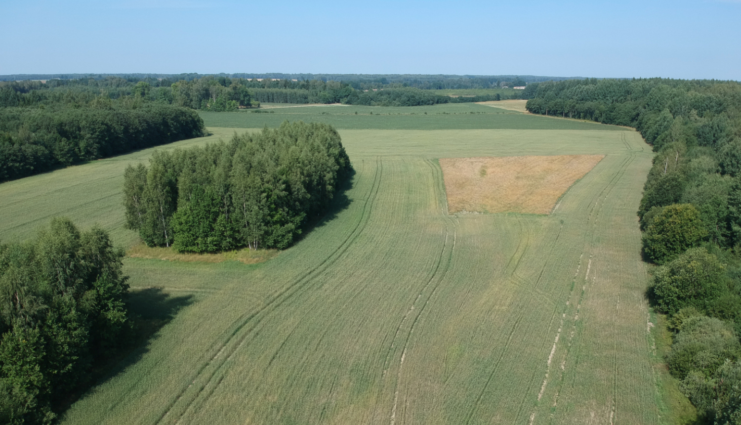 Skats uz zaļiem laukiem un mežiem vasarā no drona