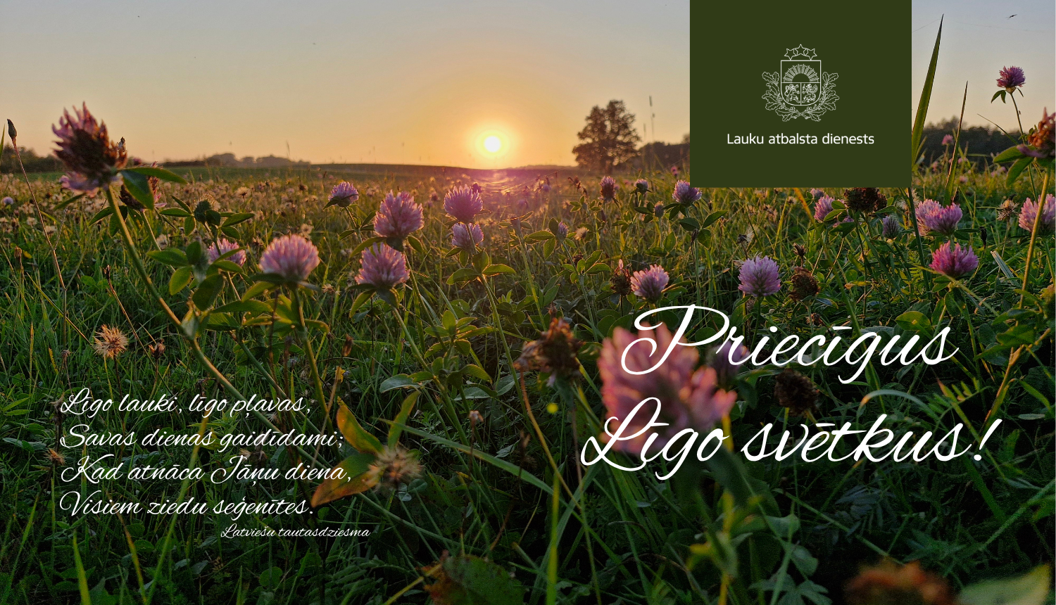 Svētku apsveikums ar sarkanā āboliņa lauku saulrietā un uzrakstu Priecīgus Līgo svētkus!