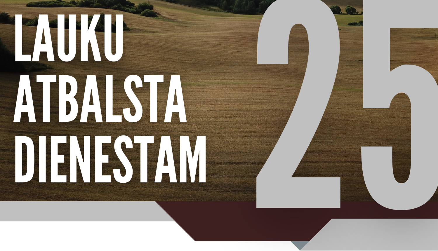 Lauku atbalsta dienestam 25
