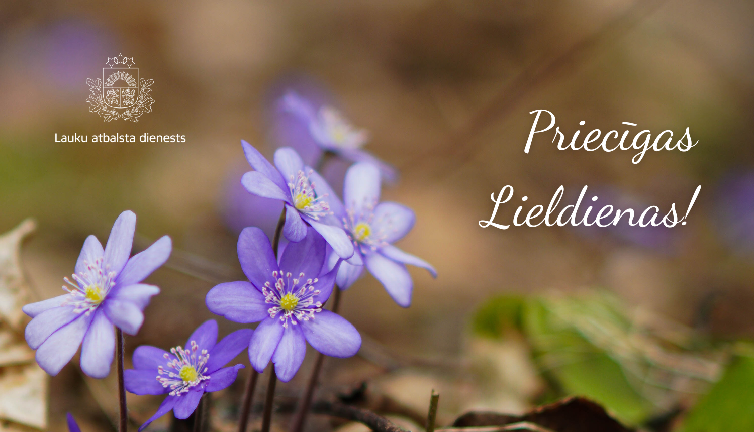 Asveikums Lieldienās ar zilām pavasara puķītēm, apsveikuma tekstu un LAD logo