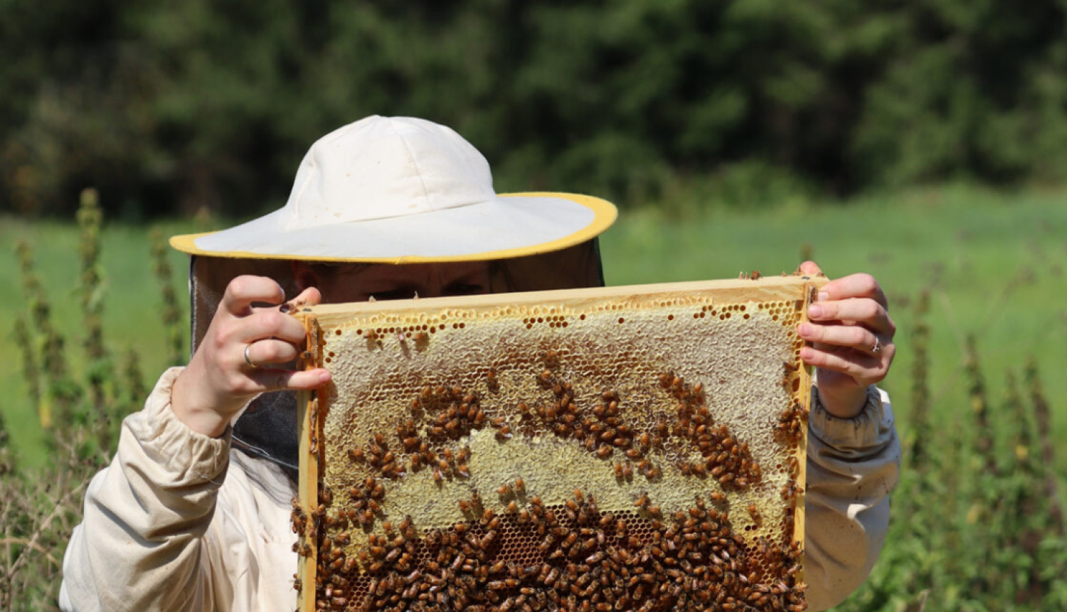 Bitenieks baltā apģērbā tur medus kāri