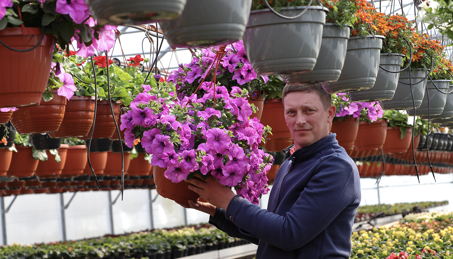Saimniecības īpašnieks ar violetu ziedu podu