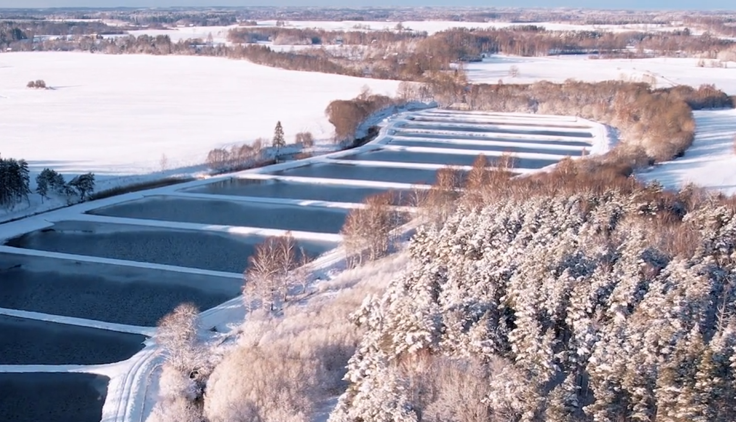 Zivju dīķi ziemā no drona lidojuma