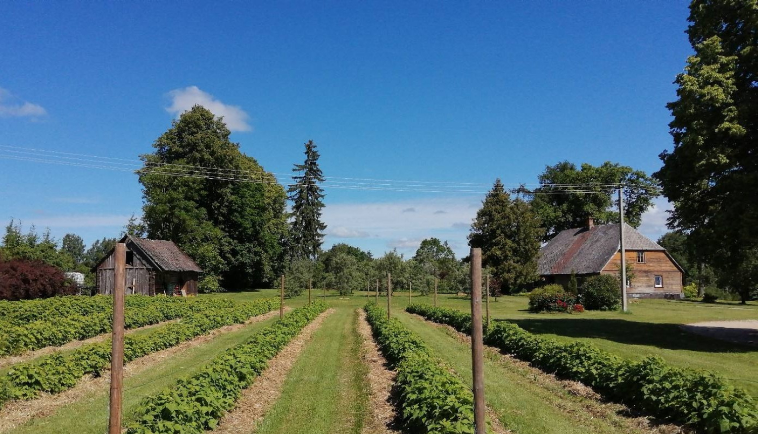 ZS Baiciems dārzs un ēkas