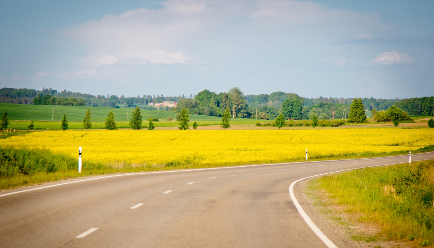 Priekšplānā šoseja, fonā dzeltens rapšu lauks