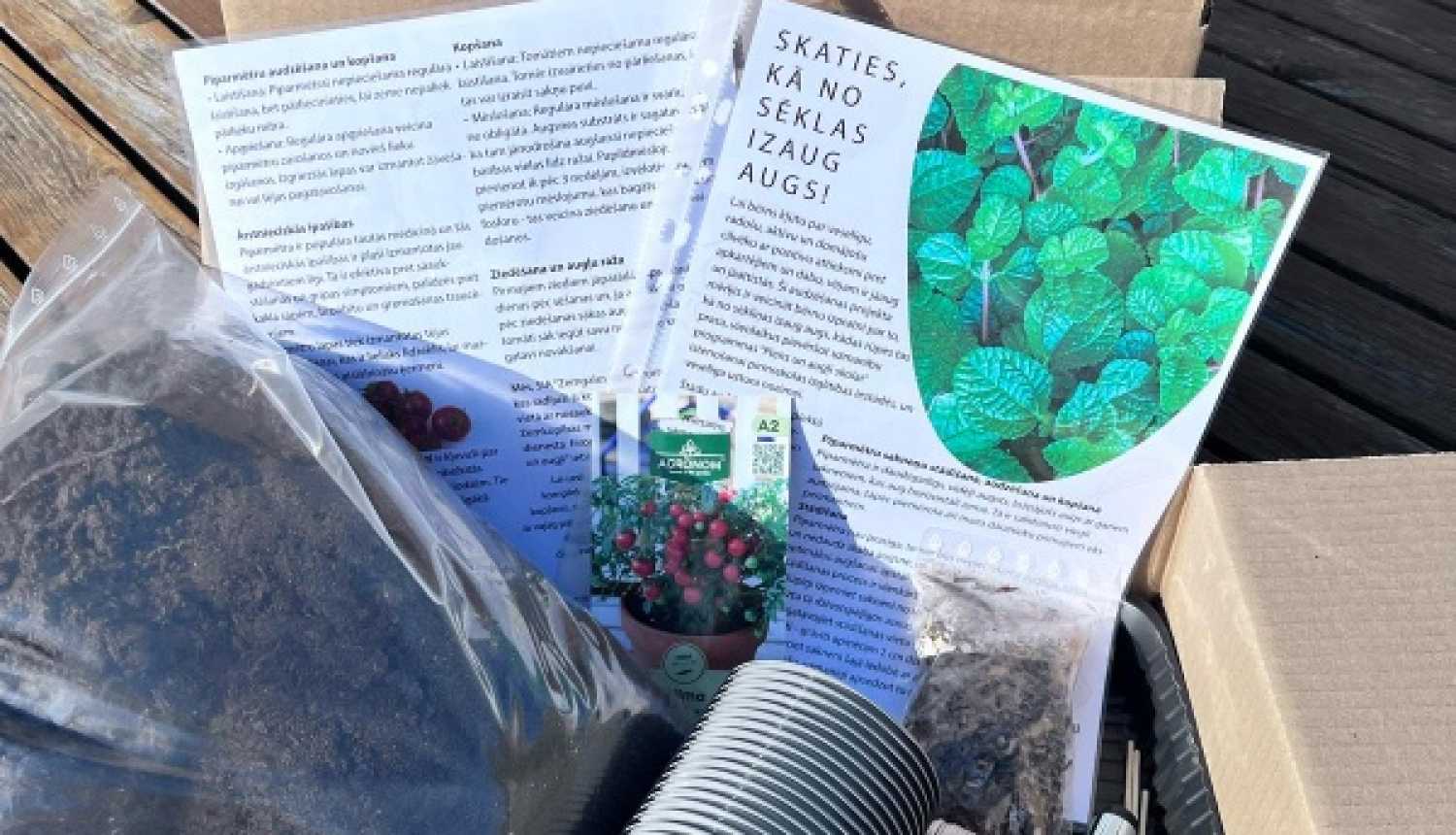 Stādīšanas komplekts pirmskolas izglītības iestādēm