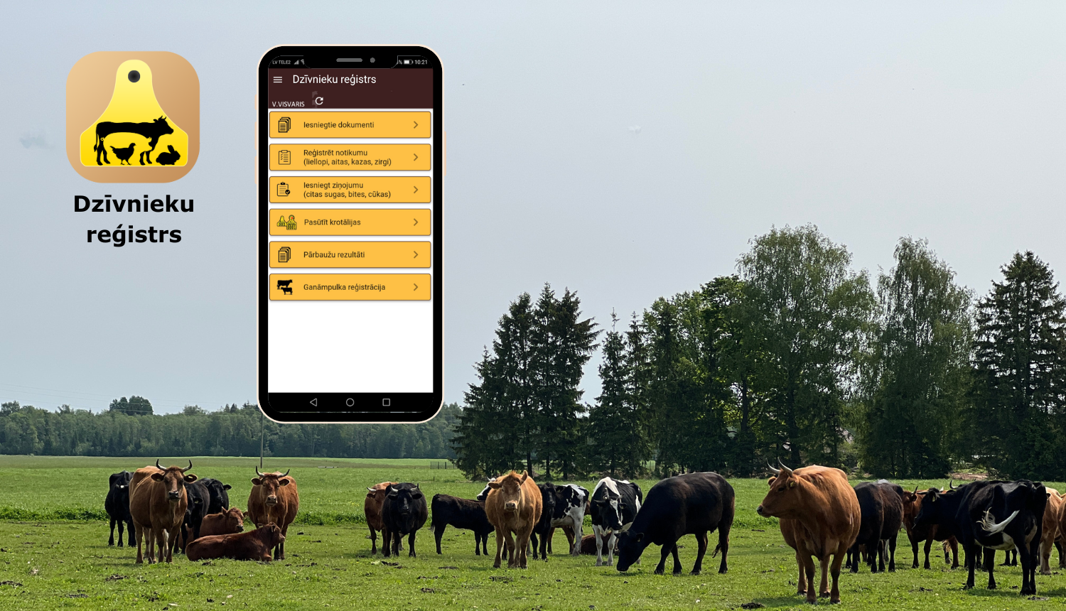 Pļava, kurā ganās daudz brūnas un melnas govis, virs tās mobilās lietotnes skats tālrunī un logo
