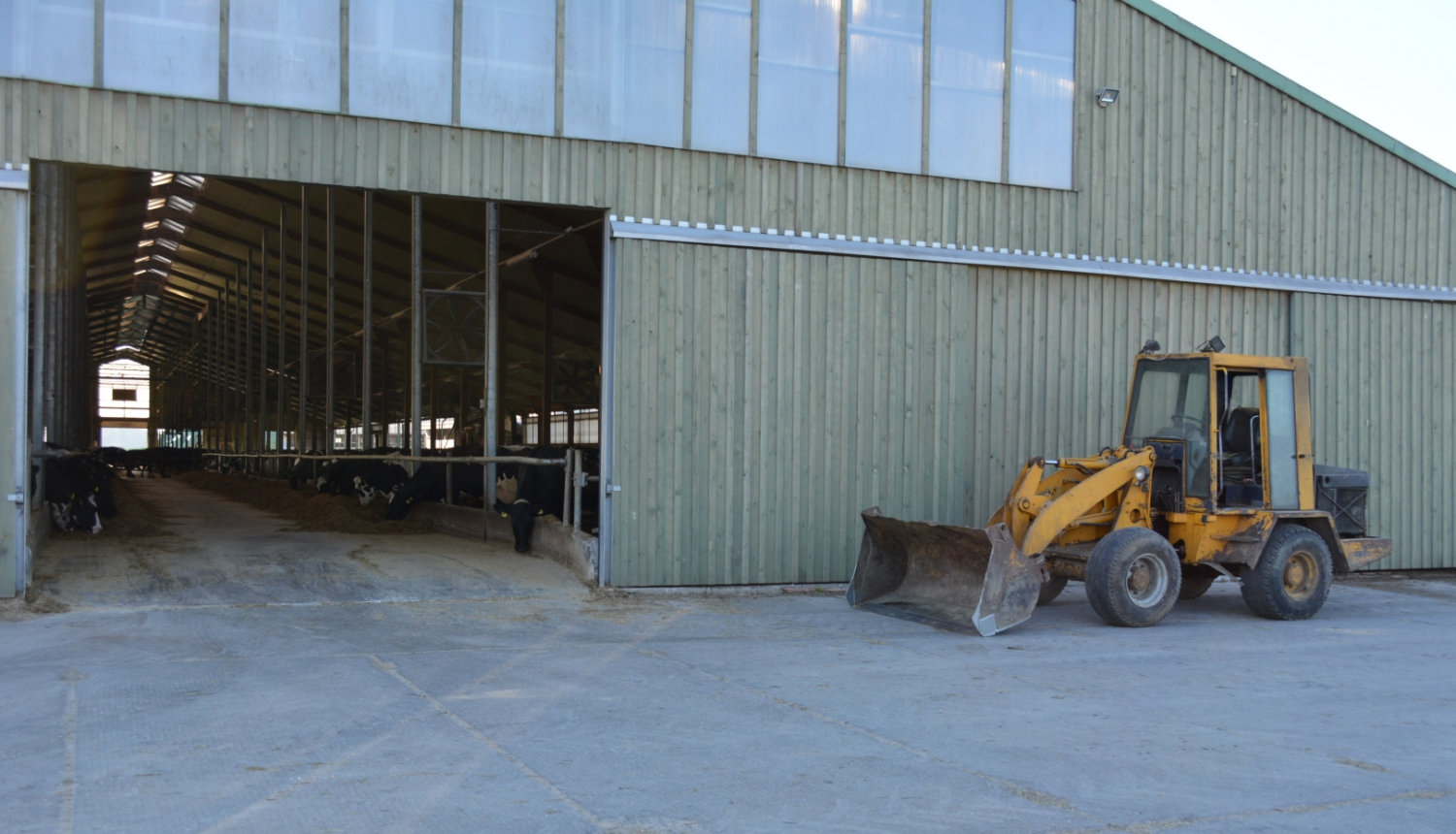 Skats uz govju kūts ieeju