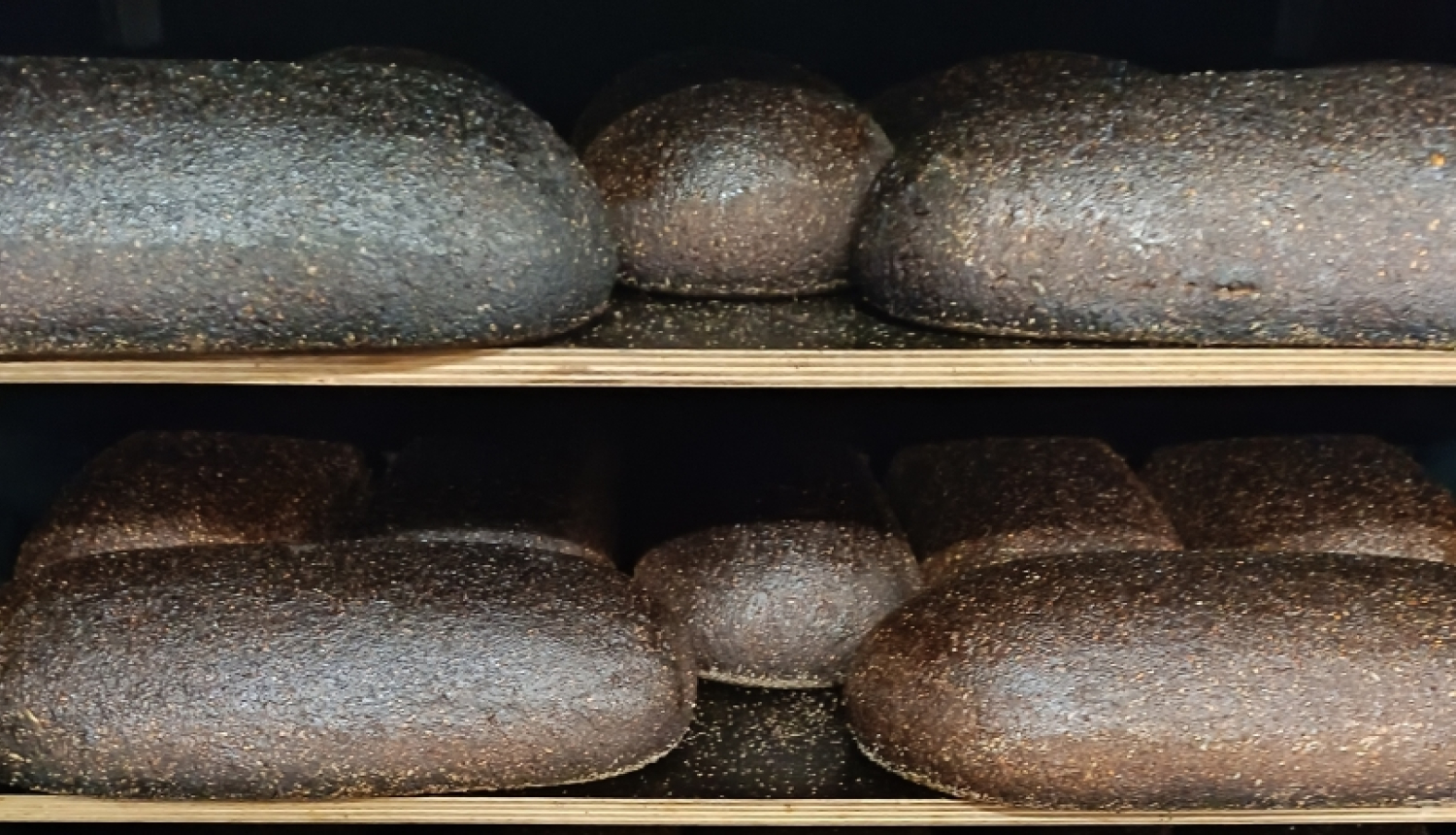 Maize plauktos ceptuvē