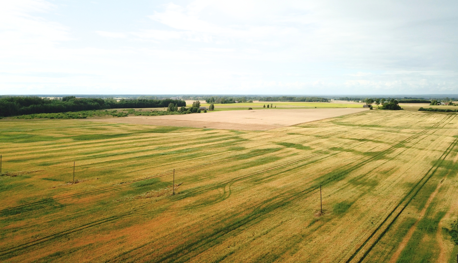 Atbalsts īstermiņa aizdevuma veidā lauksaimniekiem ir palielināts no 40 uz 60 eiro