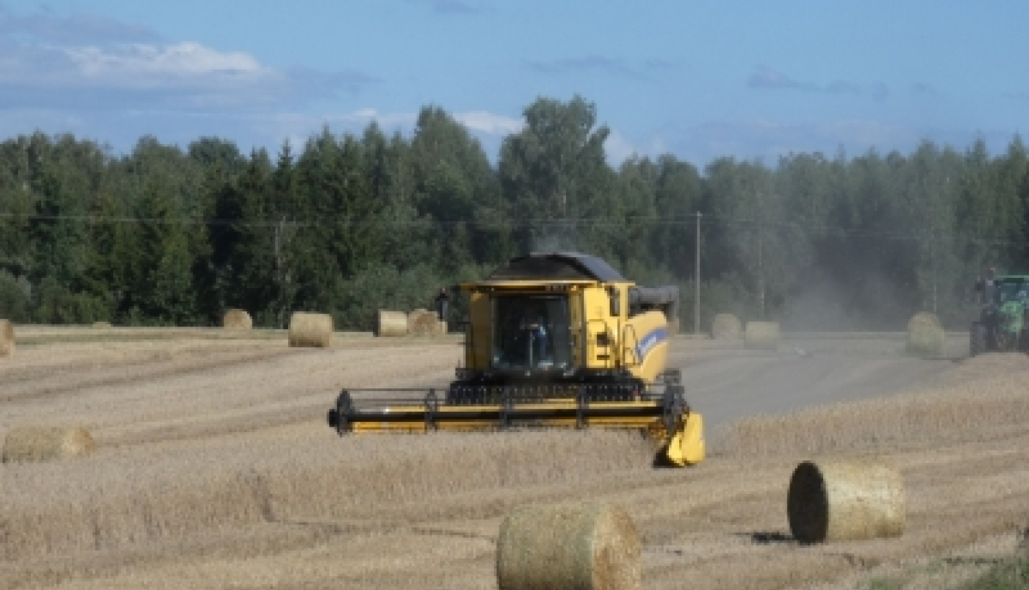 Liels, dzeltens kombains strādā uz lauka, novācot labību. Apkārt laukam redzamas salmu ruļļi, un fonā ir meža josla ar zaļiem kokiem.
