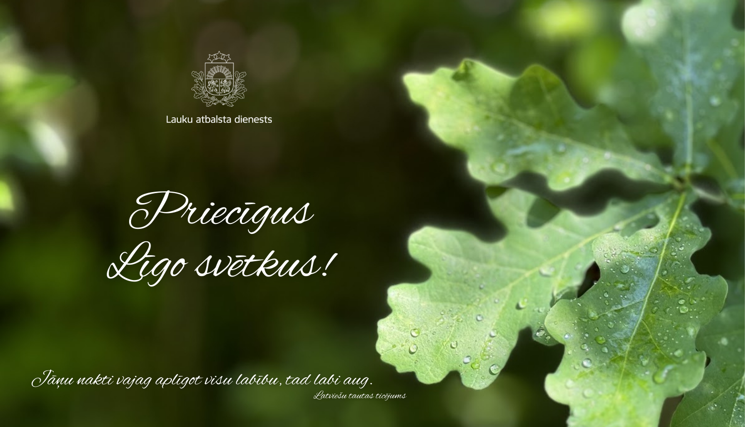 Līgo apsveikums ar ozollapām