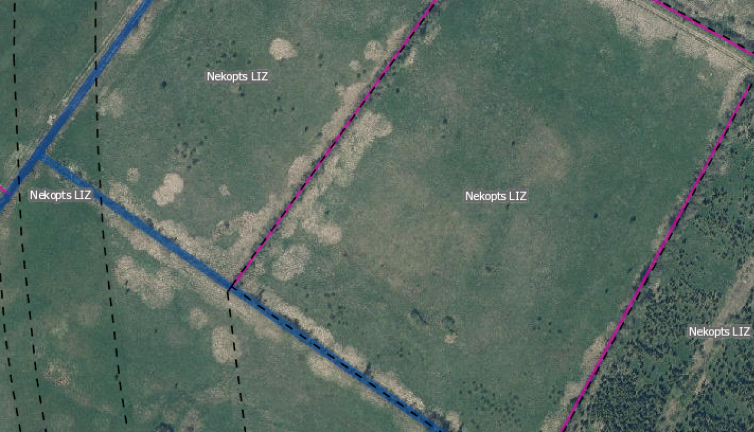 Nekopts LIZ LAD kartē
