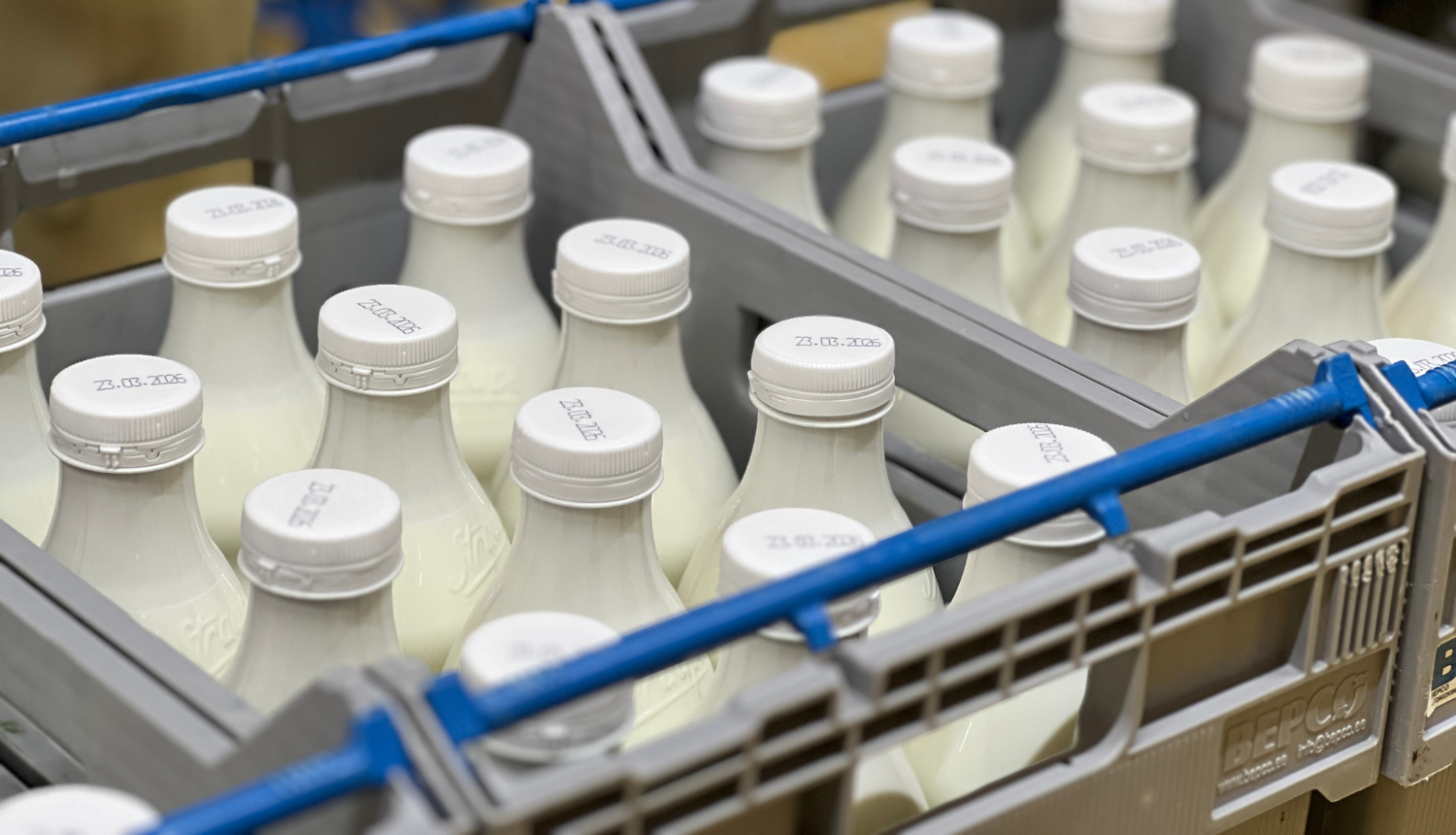 Divas kastes par piena vai kefīra pudelēm