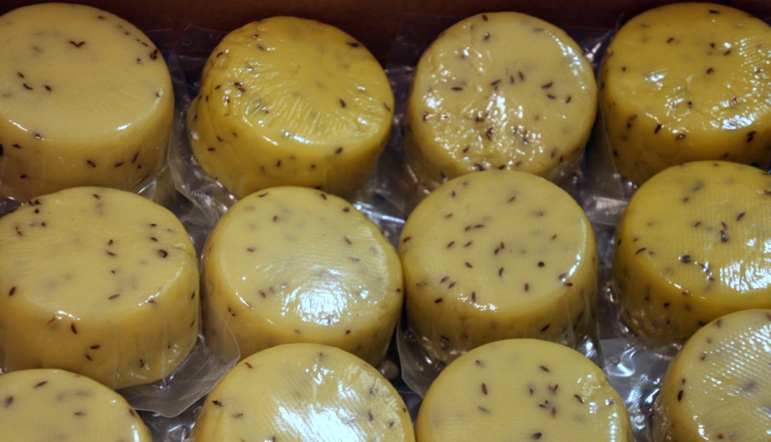 Ķimeņu siera ritulīši