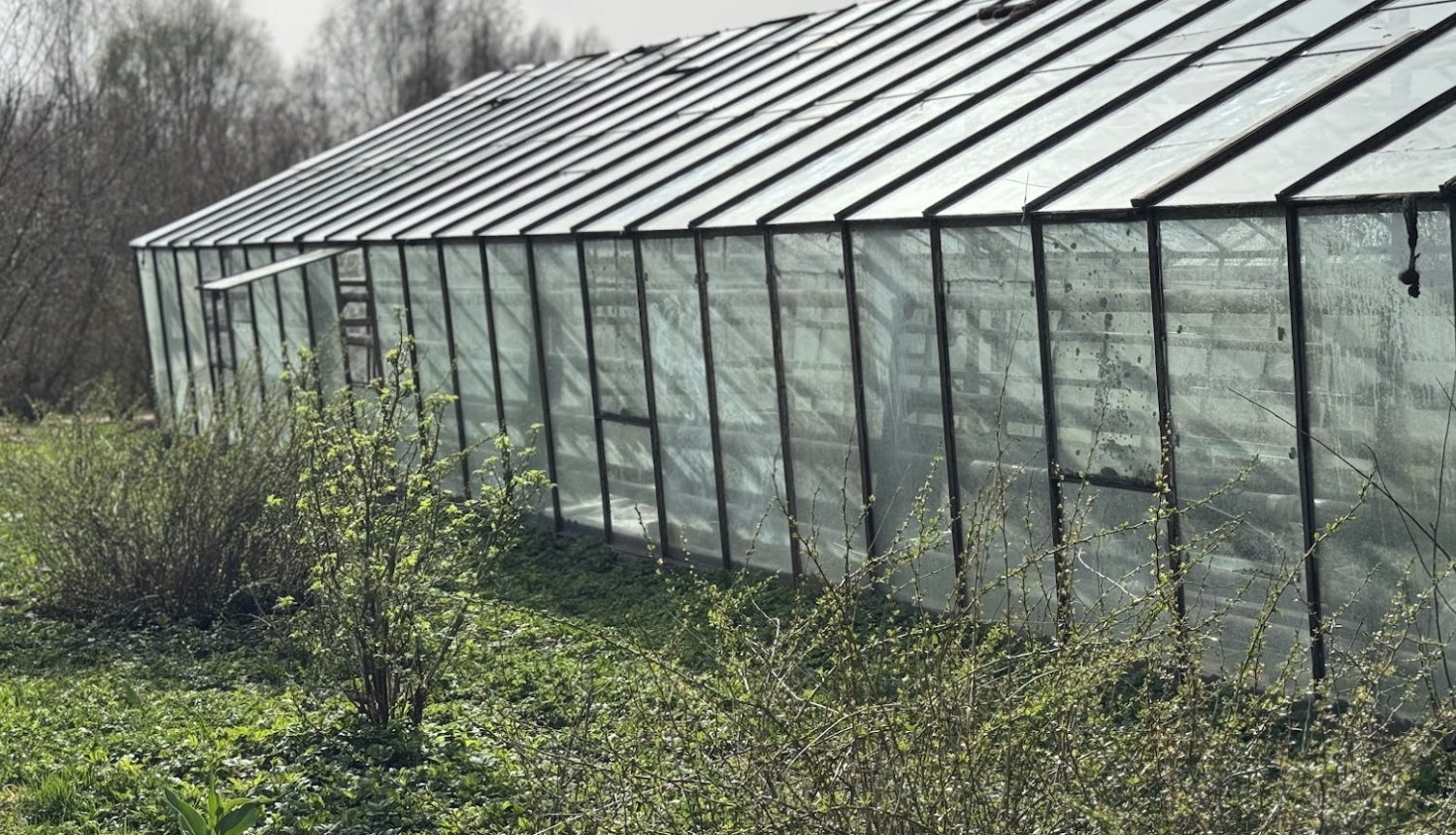 Stikla siltumnīcas skats no sāna