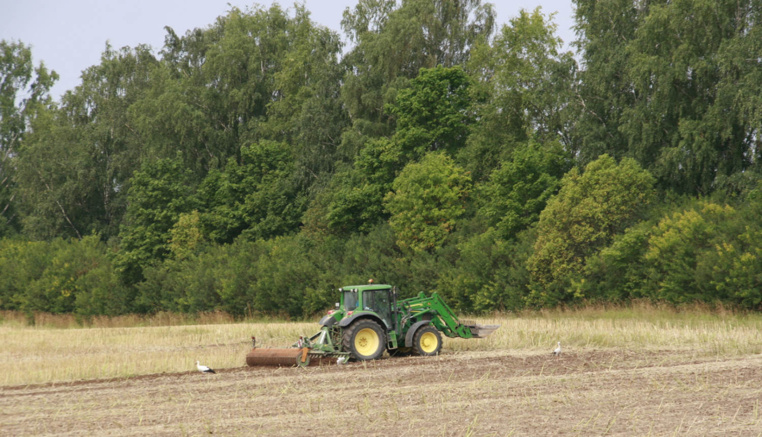 Zaļš traktors apstrādā lauku