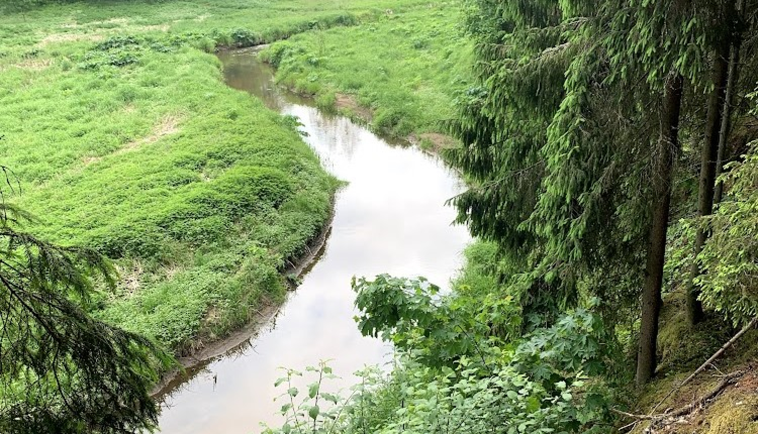 No kraujas malas bildēts skats uz leju uz līkumainu upīti