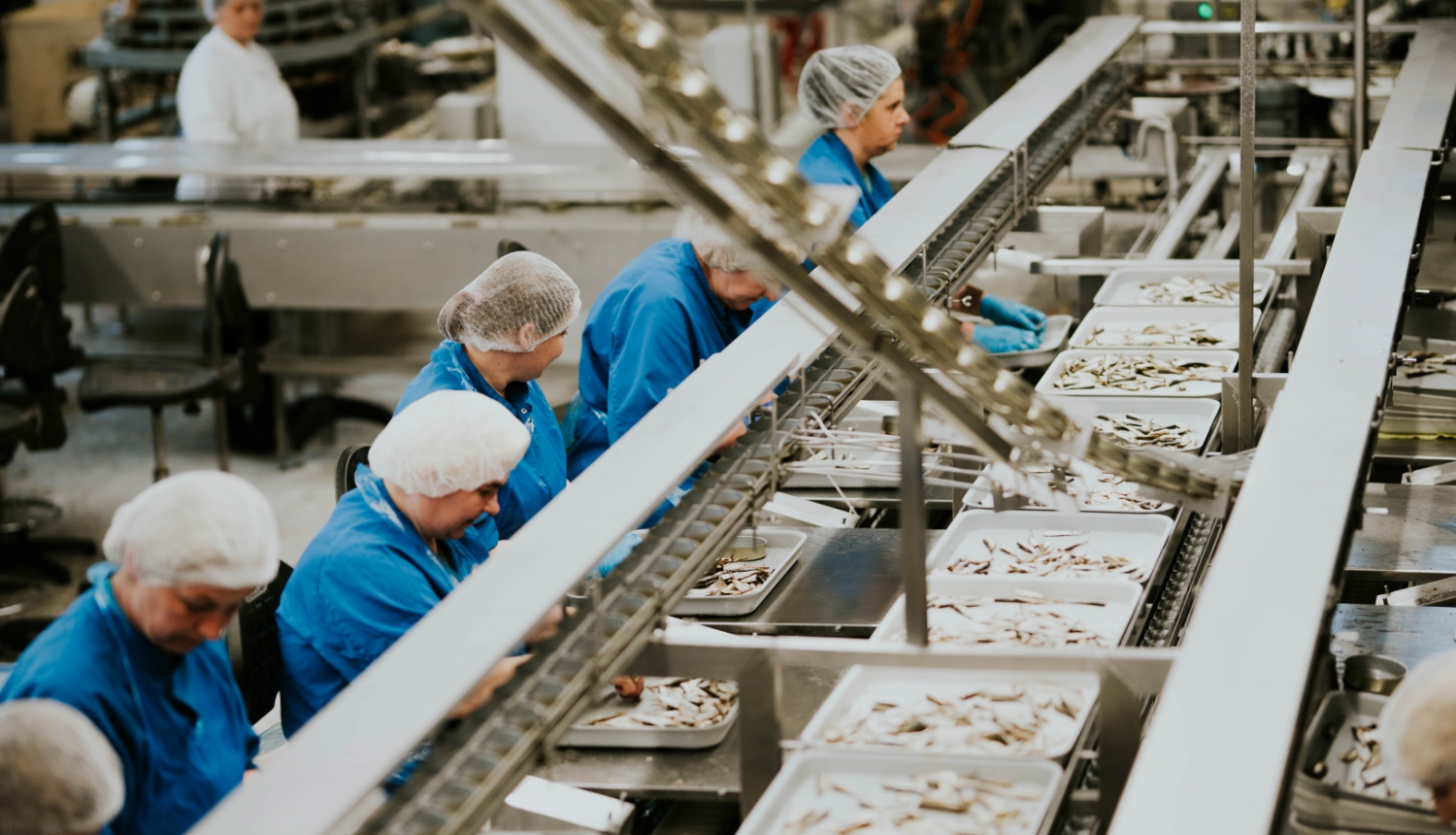 Zivju pārstrādes rūpnīcas telpas ar ražošanas līnijām un darbiniekiem