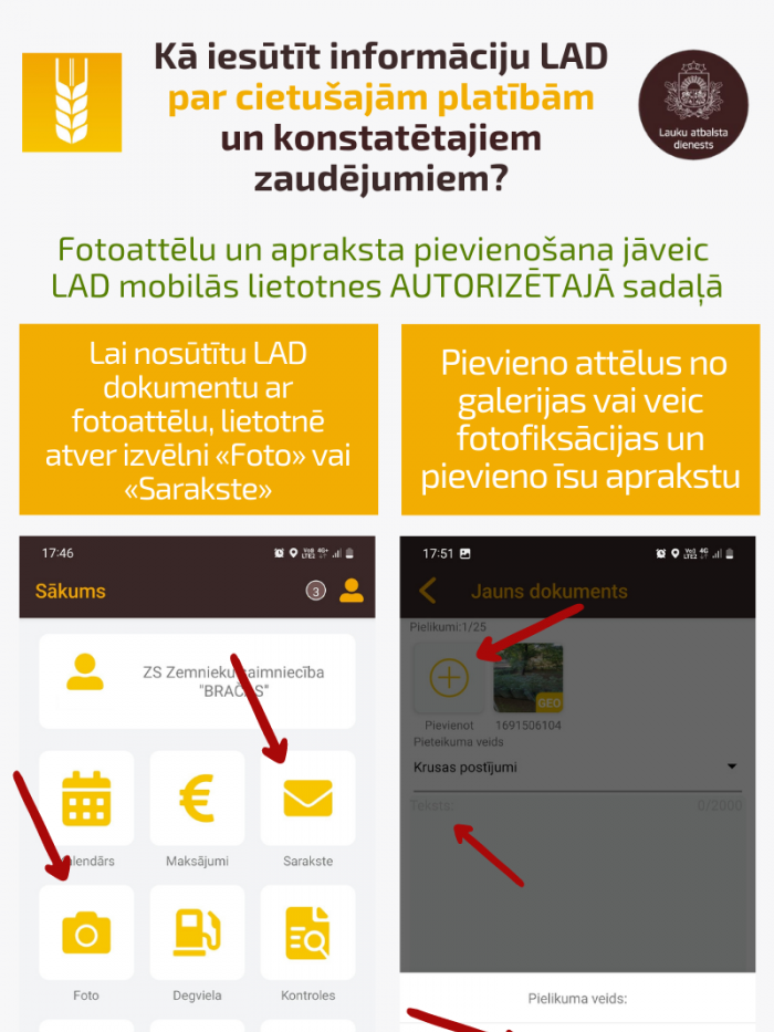 Infografika "Kā iesūtīt informāciju LAD par cietušajām platībām un konstatētajiem zaudējumiem LAD mobilajā lietotnē?"
