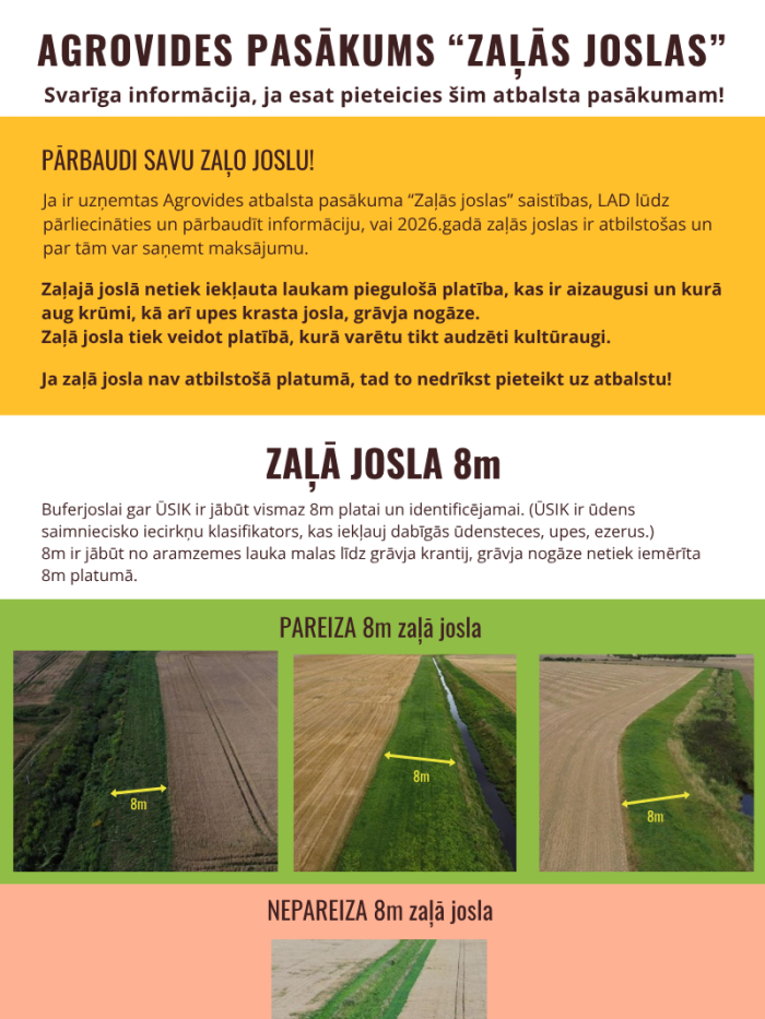 Infografika ar attēliem par pareizām un nepareizām zaļajām joslām