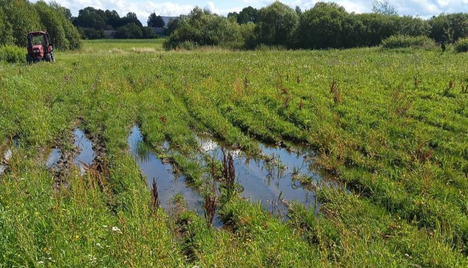 Applūdis lauks ar vagām, starp kurām ir ūdens, aizmugures fonā krūmu josla un sarkans traktors