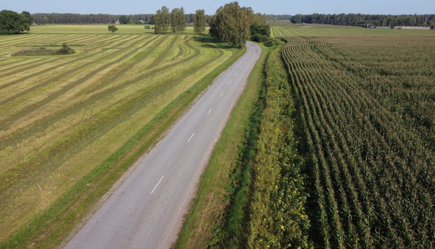 Foto ar laukiem un ceļu.