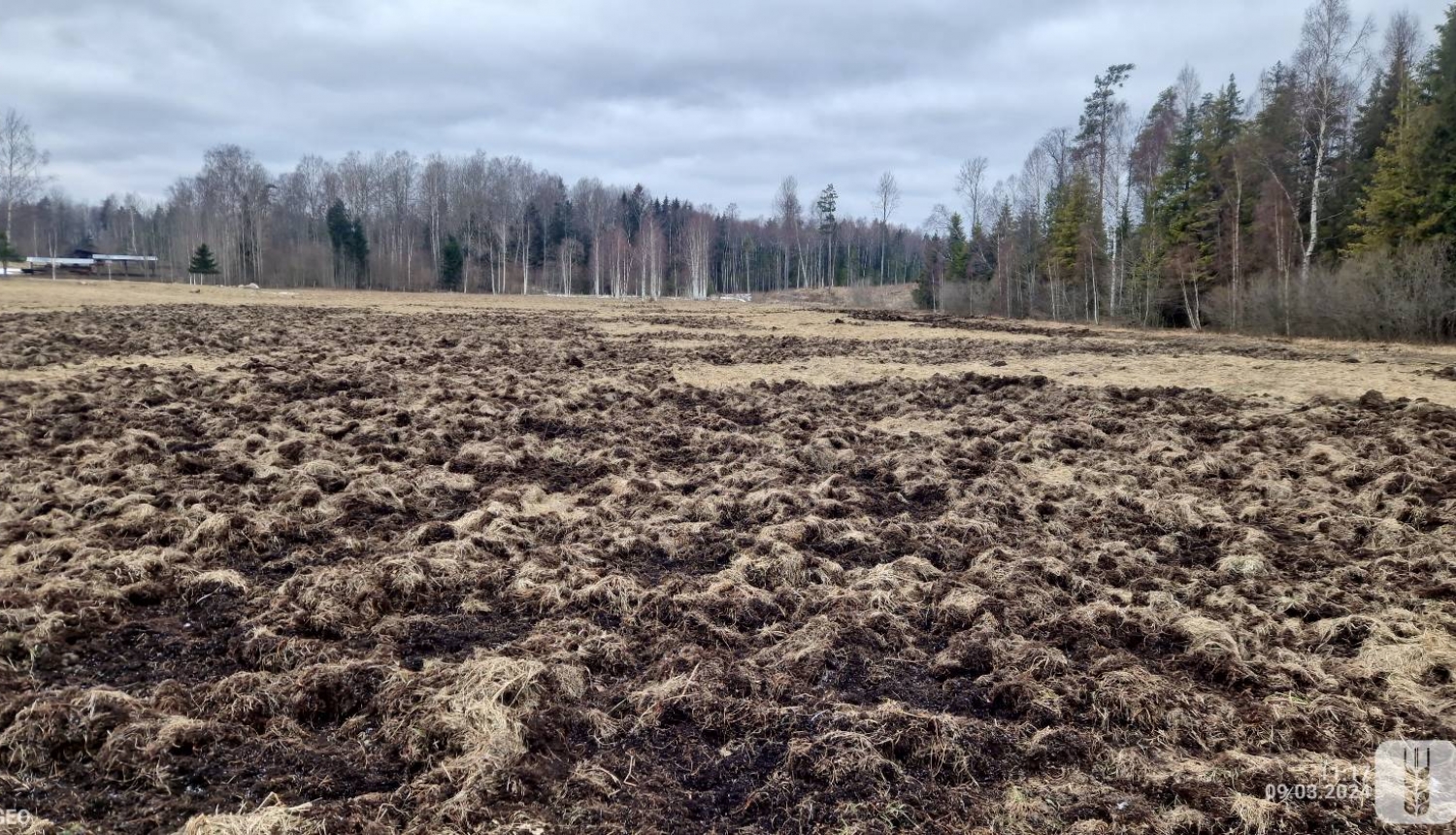 Lauka postījumi