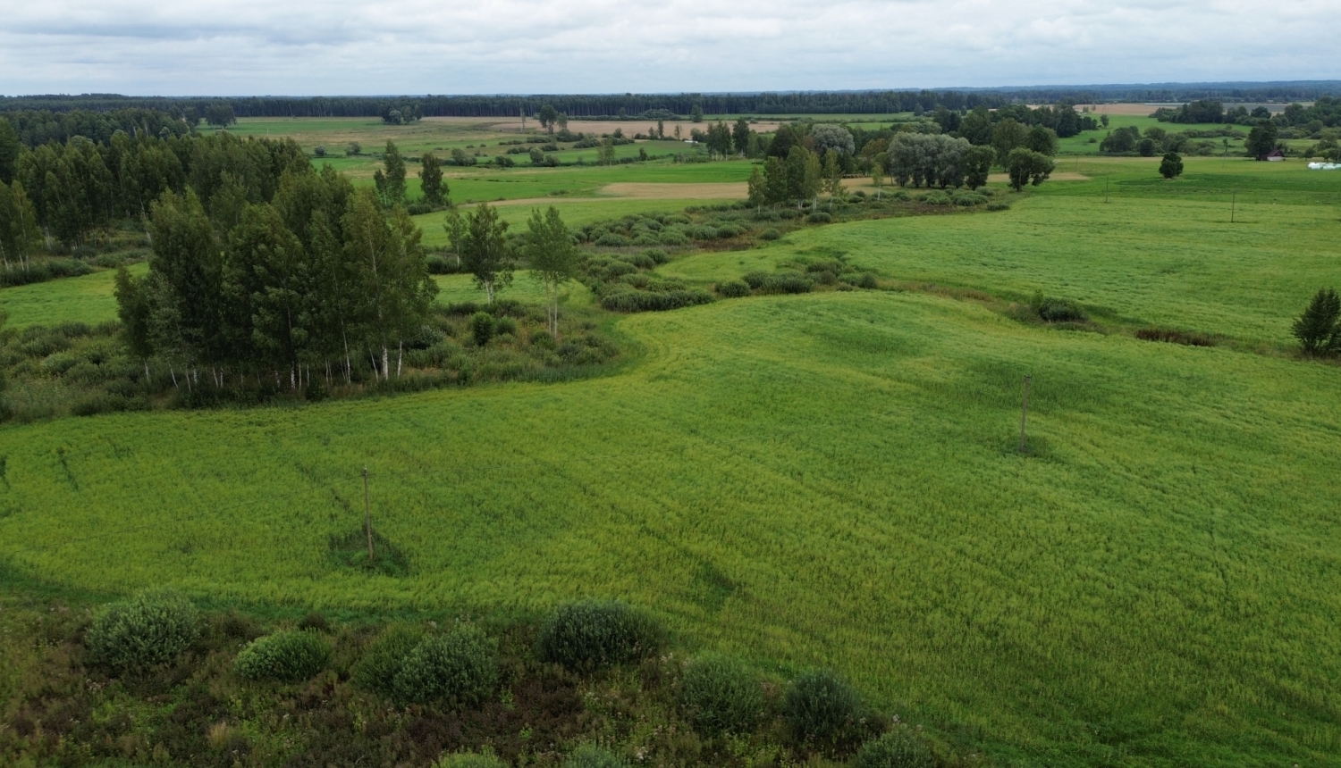 Lauku skats no drona