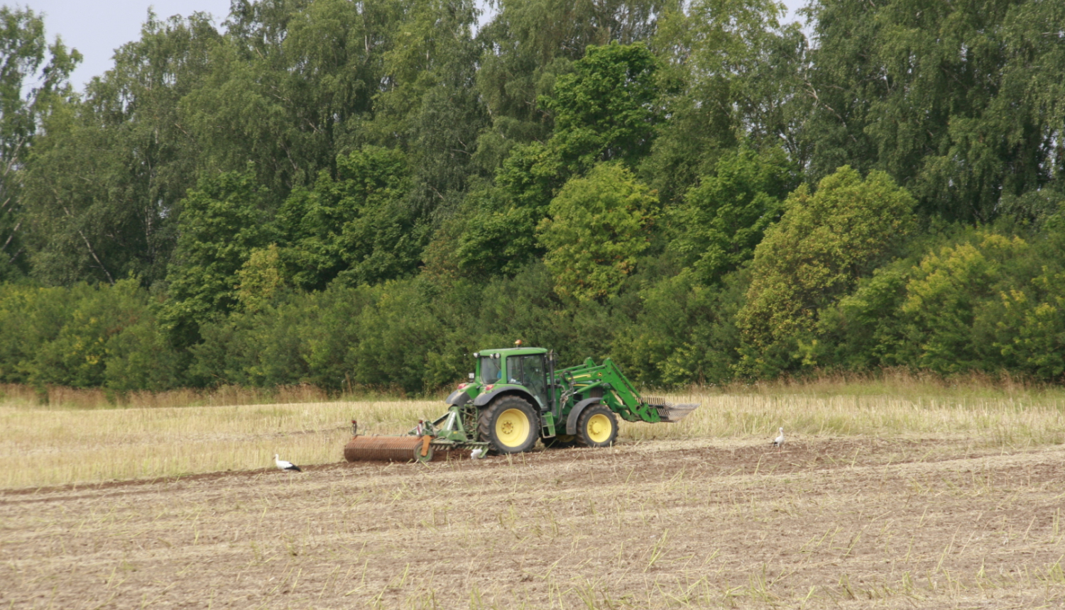 Zaļš traktors apstrādā lauku